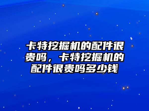 卡特挖掘機的配件很貴嗎，卡特挖掘機的配件很貴嗎多少錢