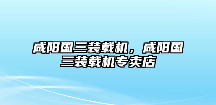 咸陽國三裝載機，咸陽國三裝載機專賣店