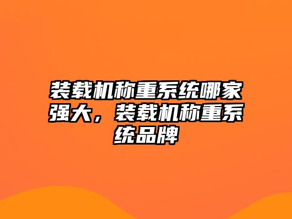 裝載機稱重系統哪家強大，裝載機稱重系統品牌