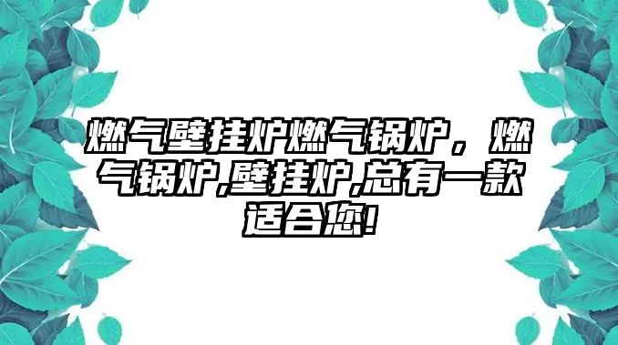 燃?xì)獗趻鞝t燃?xì)忮仩t，燃?xì)忮仩t,壁掛爐,總有一款適合您!