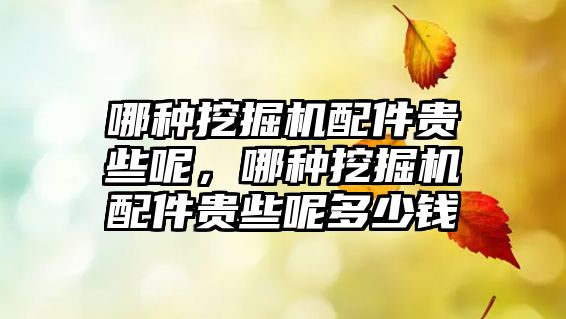 哪種挖掘機配件貴些呢，哪種挖掘機配件貴些呢多少錢