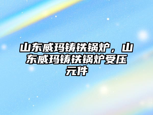 山東威瑪鑄鐵鍋爐，山東威瑪鑄鐵鍋爐受壓元件