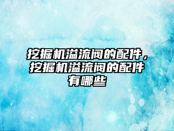 挖掘機溢流閥的配件，挖掘機溢流閥的配件有哪些