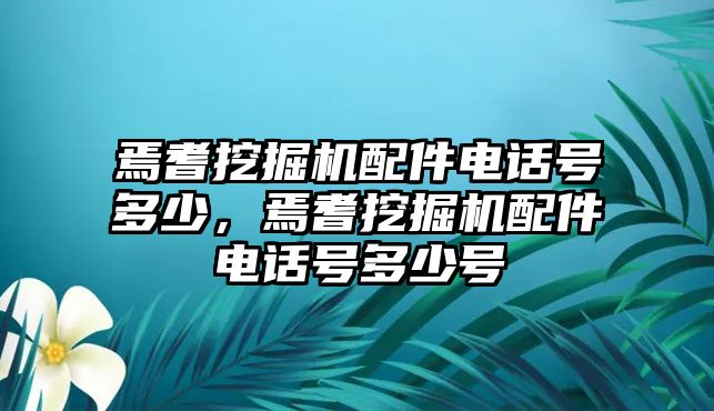 焉耆挖掘機配件電話號多少，焉耆挖掘機配件電話號多少號