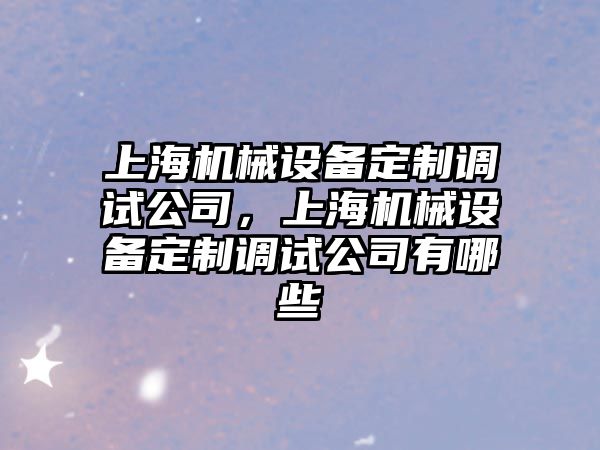 上海機械設備定制調試公司，上海機械設備定制調試公司有哪些