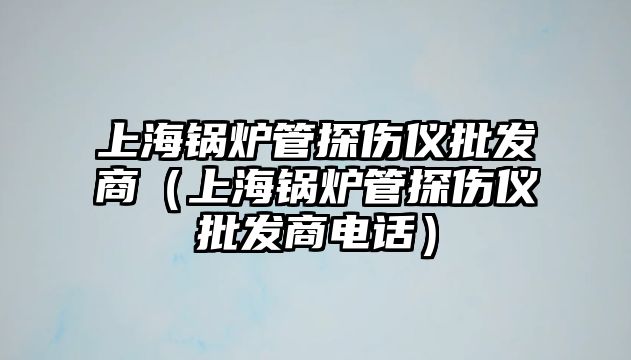 上海鍋爐管探傷儀批發商（上海鍋爐管探傷儀批發商電話）