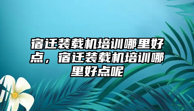 宿遷裝載機培訓哪里好點，宿遷裝載機培訓哪里好點呢