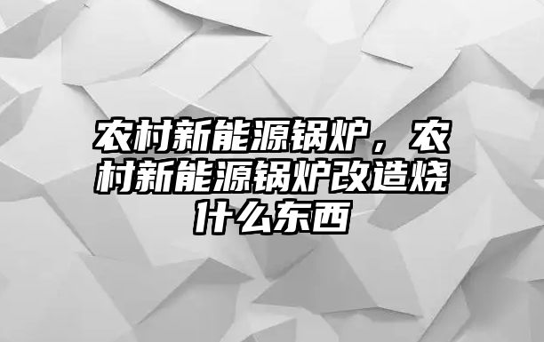 農村新能源鍋爐，農村新能源鍋爐改造燒什么東西