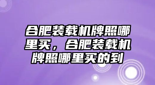 合肥裝載機牌照哪里買，合肥裝載機牌照哪里買的到