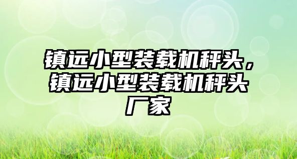 鎮遠小型裝載機秤頭，鎮遠小型裝載機秤頭廠家