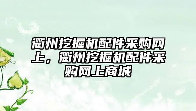 衢州挖掘機配件采購網上，衢州挖掘機配件采購網上商城