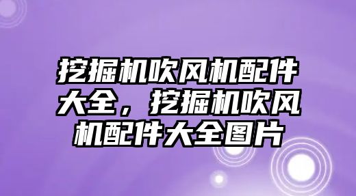 挖掘機吹風機配件大全，挖掘機吹風機配件大全圖片