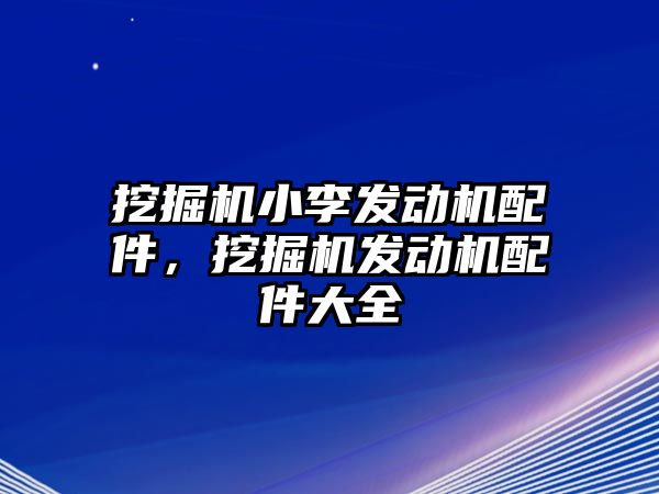 挖掘機小李發動機配件，挖掘機發動機配件大全