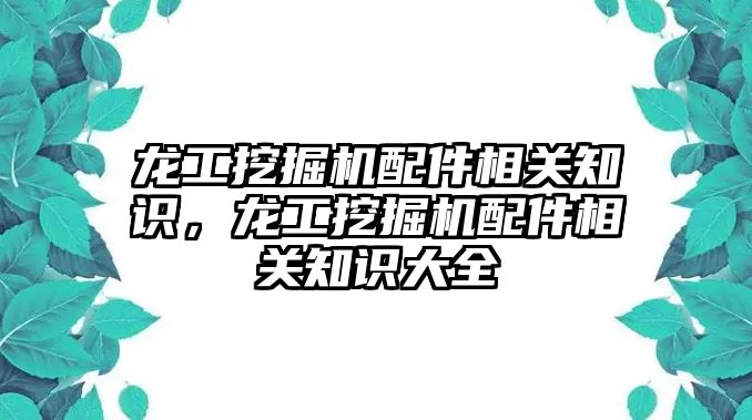 龍工挖掘機配件相關知識，龍工挖掘機配件相關知識大全