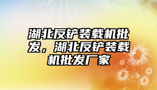 湖北反鏟裝載機批發，湖北反鏟裝載機批發廠家