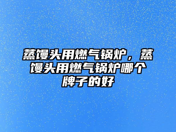 蒸饅頭用燃氣鍋爐，蒸饅頭用燃氣鍋爐哪個牌子的好