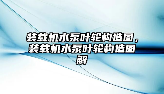 裝載機水泵葉輪構造圖，裝載機水泵葉輪構造圖解