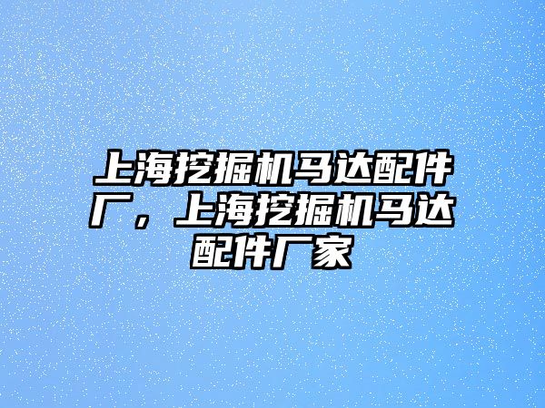 上海挖掘機馬達配件廠，上海挖掘機馬達配件廠家