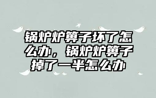 鍋爐爐箅子壞了怎么辦，鍋爐爐箅子掉了一半怎么辦