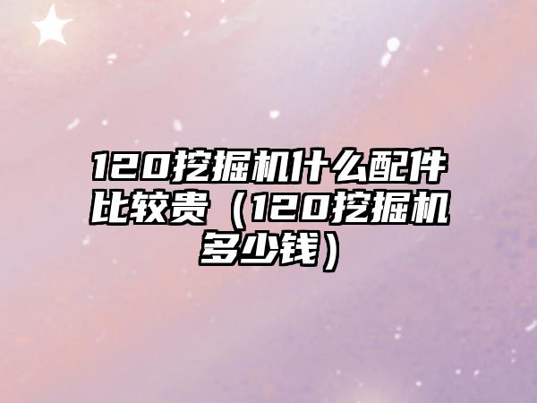 120挖掘機(jī)什么配件比較貴（120挖掘機(jī)多少錢）