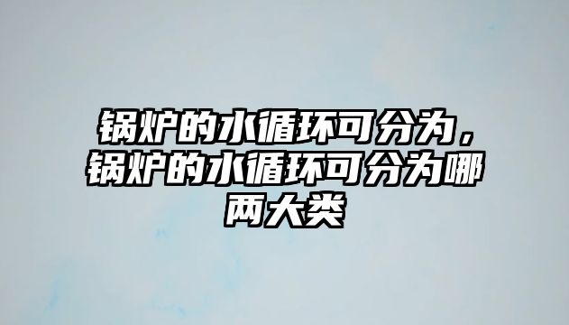 鍋爐的水循環可分為，鍋爐的水循環可分為哪兩大類