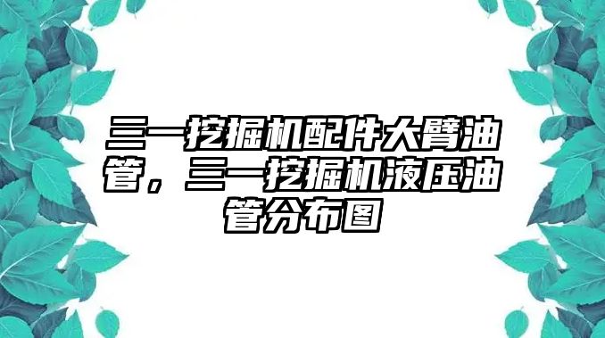 三一挖掘機配件大臂油管，三一挖掘機液壓油管分布圖