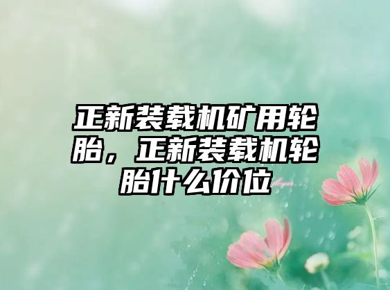 正新裝載機(jī)礦用輪胎，正新裝載機(jī)輪胎什么價(jià)位