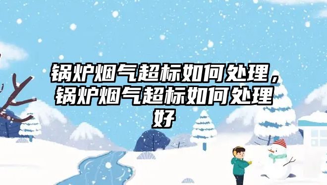 鍋爐煙氣超標如何處理，鍋爐煙氣超標如何處理好