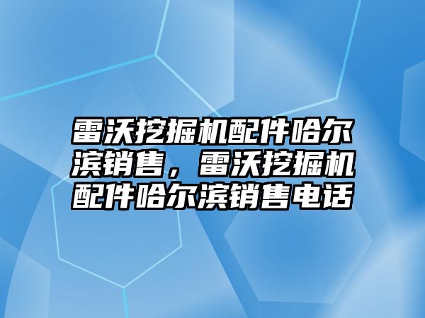 雷沃挖掘機配件哈爾濱銷售，雷沃挖掘機配件哈爾濱銷售電話