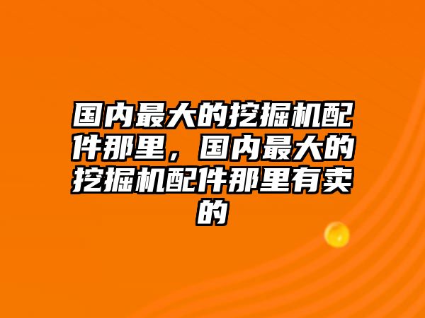 國內最大的挖掘機配件那里，國內最大的挖掘機配件那里有賣的