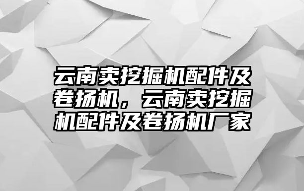 云南賣挖掘機配件及卷揚機，云南賣挖掘機配件及卷揚機廠家