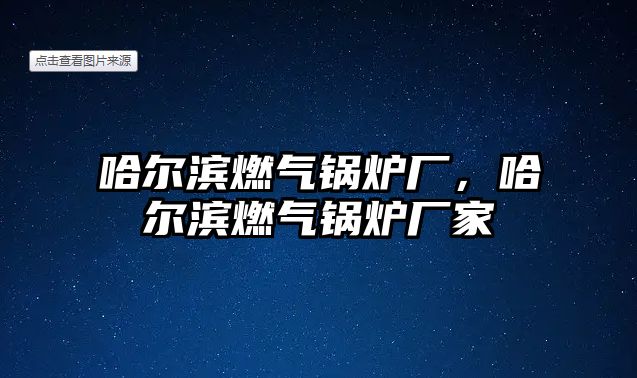 哈爾濱燃氣鍋爐廠，哈爾濱燃氣鍋爐廠家