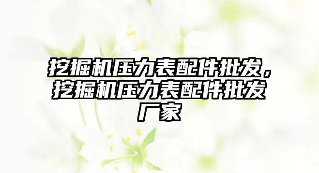 挖掘機壓力表配件批發，挖掘機壓力表配件批發廠家