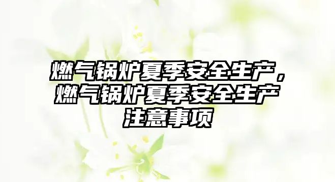 燃?xì)忮仩t夏季安全生產(chǎn)，燃?xì)忮仩t夏季安全生產(chǎn)注意事項(xiàng)