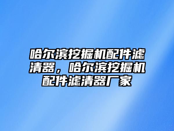 哈爾濱挖掘機配件濾清器，哈爾濱挖掘機配件濾清器廠家