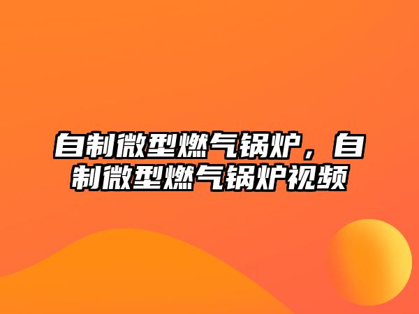 自制微型燃?xì)忮仩t，自制微型燃?xì)忮仩t視頻