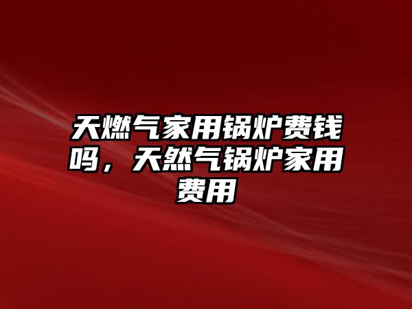 天燃?xì)饧矣缅仩t費(fèi)錢嗎，天然氣鍋爐家用費(fèi)用