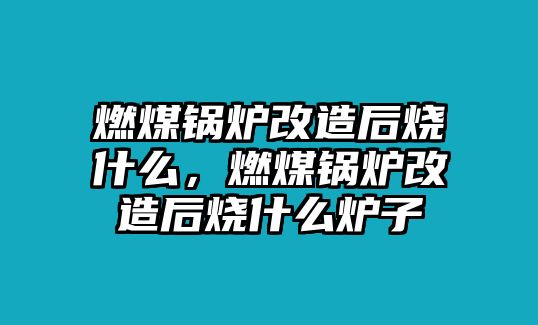 燃煤鍋爐改造后燒什么，燃煤鍋爐改造后燒什么爐子