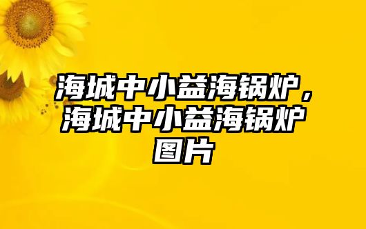 海城中小益海鍋爐，海城中小益海鍋爐圖片