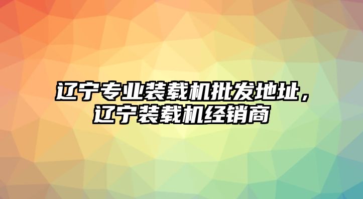 遼寧專業裝載機批發地址，遼寧裝載機經銷商