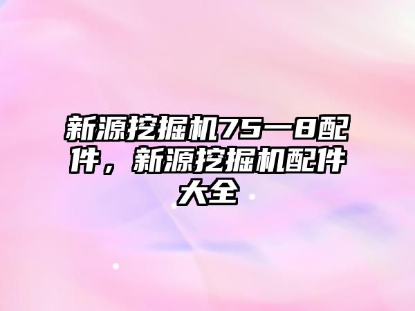 新源挖掘機(jī)75一8配件，新源挖掘機(jī)配件大全