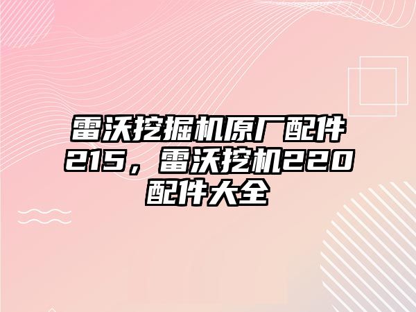 雷沃挖掘機(jī)原廠配件215，雷沃挖機(jī)220配件大全