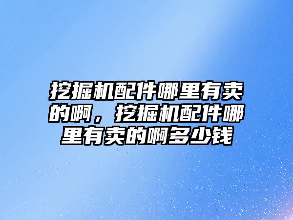 挖掘機配件哪里有賣的啊，挖掘機配件哪里有賣的啊多少錢