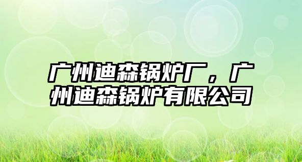 廣州迪森鍋爐廠，廣州迪森鍋爐有限公司