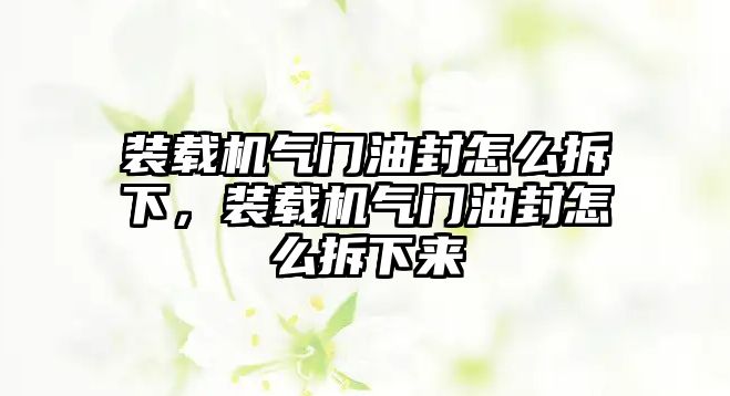 裝載機氣門油封怎么拆下，裝載機氣門油封怎么拆下來