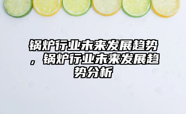 鍋爐行業(yè)未來發(fā)展趨勢，鍋爐行業(yè)未來發(fā)展趨勢分析