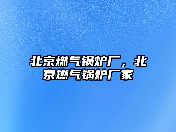 北京燃?xì)忮仩t廠，北京燃?xì)忮仩t廠家