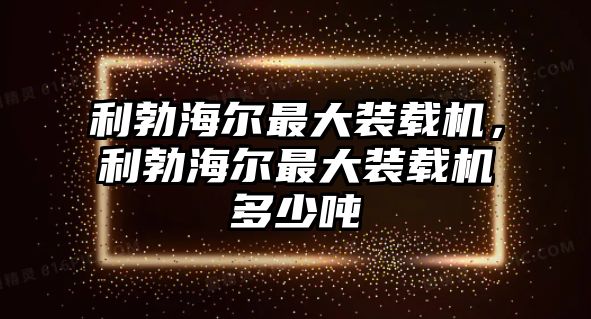 利勃海爾最大裝載機(jī)，利勃海爾最大裝載機(jī)多少噸