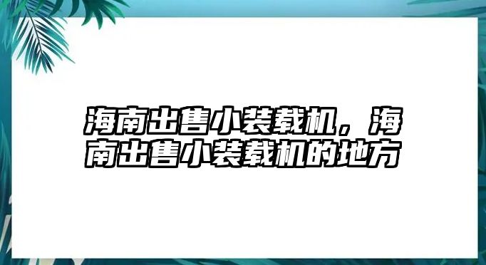 海南出售小裝載機，海南出售小裝載機的地方