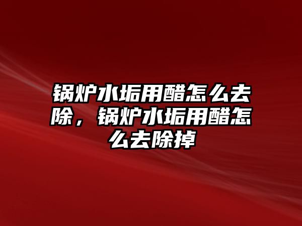 鍋爐水垢用醋怎么去除，鍋爐水垢用醋怎么去除掉